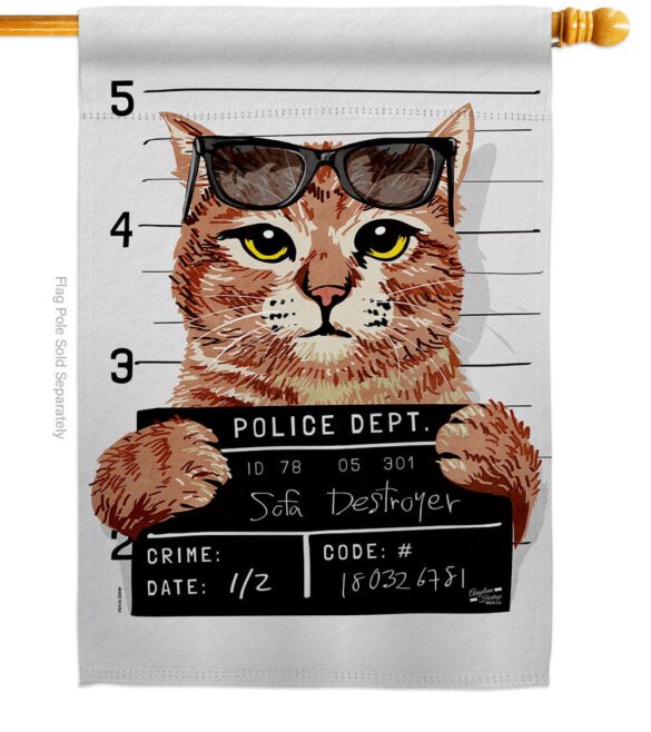 Bad Kitty - Pets Nature Vertical Impressions Decorative Flags HG137530 Made In USA - Image 3