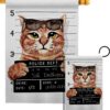 Bad Kitty - Pets Nature Vertical Impressions Decorative Flags HG137530 Made In USA