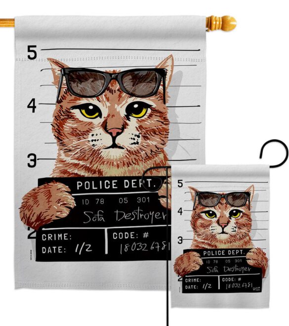 Bad Kitty - Pets Nature Vertical Impressions Decorative Flags HG137530 Made In USA