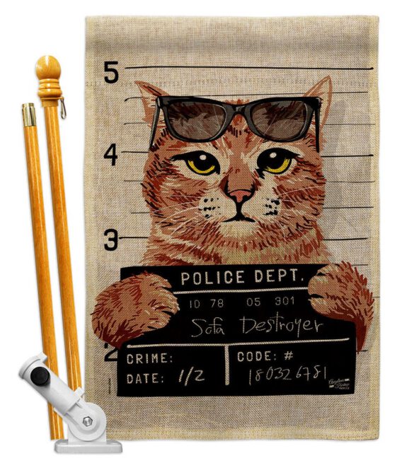 Bad Kitty - Pets Nature Vertical Impressions Decorative Flags HG137530 Made In USA - Image 16
