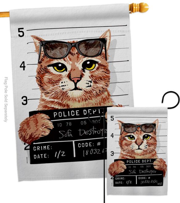 Bad Kitty - Pets Nature Vertical Impressions Decorative Flags HG137530 Made In USA - Image 4