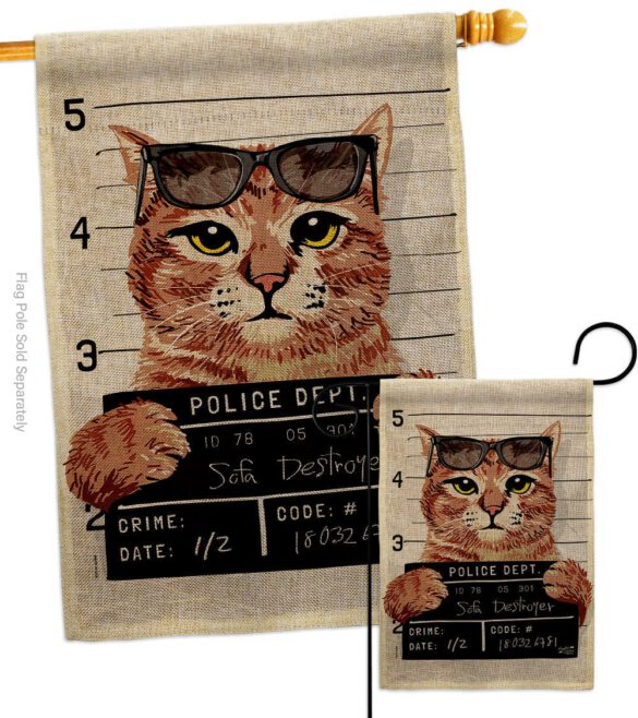 Bad Kitty - Pets Nature Vertical Impressions Decorative Flags HG137530 Made In USA - Image 14
