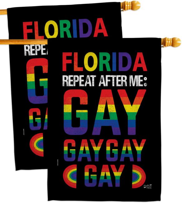 Florida Repeat After Me Gay - Support Inspirational Vertical Impressions Decorative Flags HG141314 Made In USA - Image 12