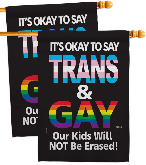Gay Trans Rights - Support Inspirational Vertical Impressions Decorative Flags HG141315 Made In USA - Image 12