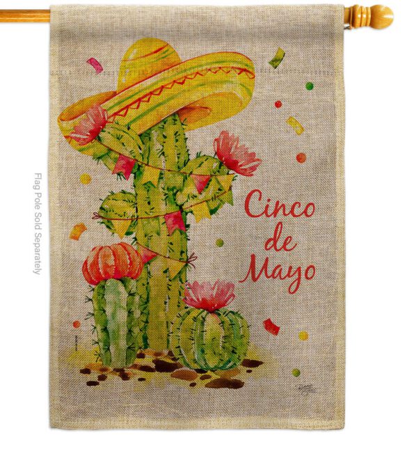 Cactus Cinco de Mayo - Southwest Country & Primitive Vertical Impressions Decorative Flags HG115178 Made In USA - Image 12