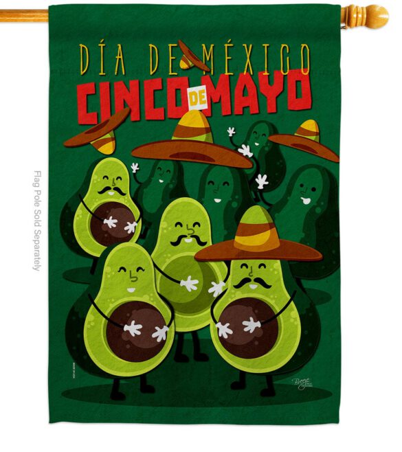 Avocado Fiesta - Southwest Country & Primitive Vertical Impressions Decorative Flags HG115234 Made In USA - Image 3