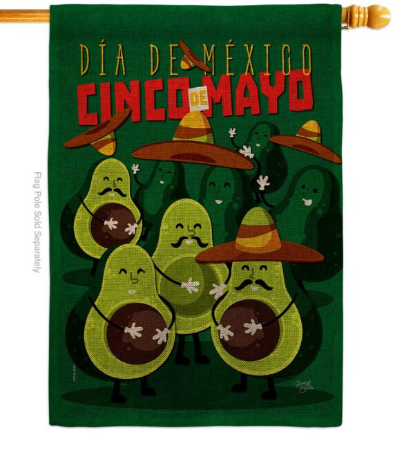 Avocado Fiesta - Southwest Country & Primitive Vertical Impressions Decorative Flags HG115234 Made In USA - Image 13