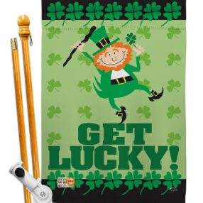 House Flag St Patrick HS102028