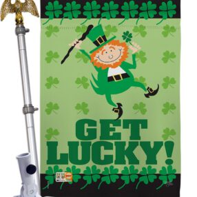 House Flag St Patrick HS102028 02