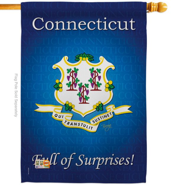 Connecticut - States Americana Vertical Impressions Decorative Flags HG108138 Made In USA - Image 2