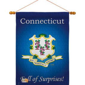 House Flag States HS108138 03 9bb3ee60 6997 47c9 ae35 d150991d4624