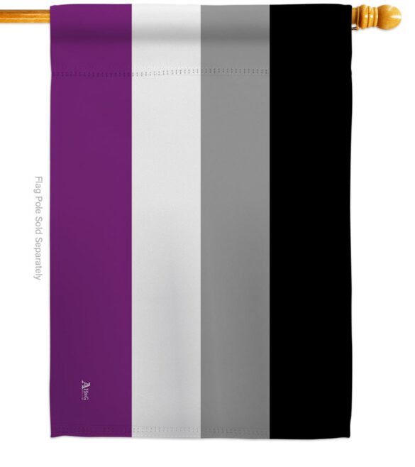 Asexua - Support Inspirational Vertical Impressions Decorative Flags HG148002 Made In USA - Image 3