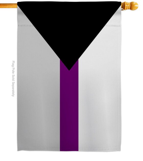Demisexual - Support Inspirational Vertical Impressions Decorative Flags HG148677 Made In USA - Image 2