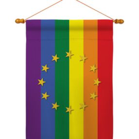 House Flag Support HS148671 03