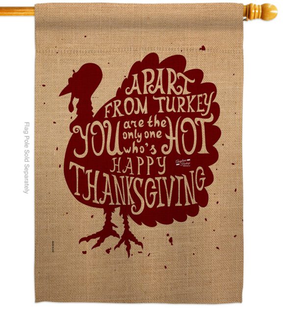 A Part From Turkey - Thanksgiving Fall Vertical Impressions Decorative Flags HG137118 Made In USA - Image 3