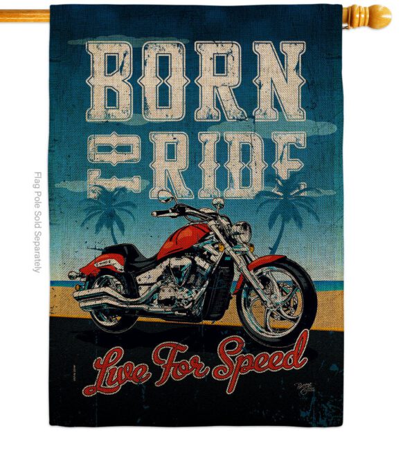 Born To Ride - Vehicle Interests Vertical Impressions Decorative Flags HG115181 Made In USA - Image 12