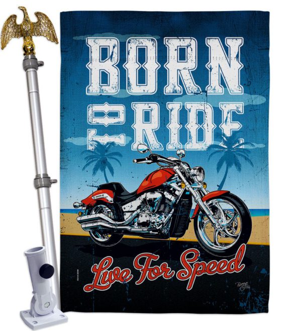 Born To Ride - Vehicle Interests Vertical Impressions Decorative Flags HG115181 Made In USA - Image 9
