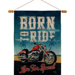 House Flag Vehicle HS115181 B 03